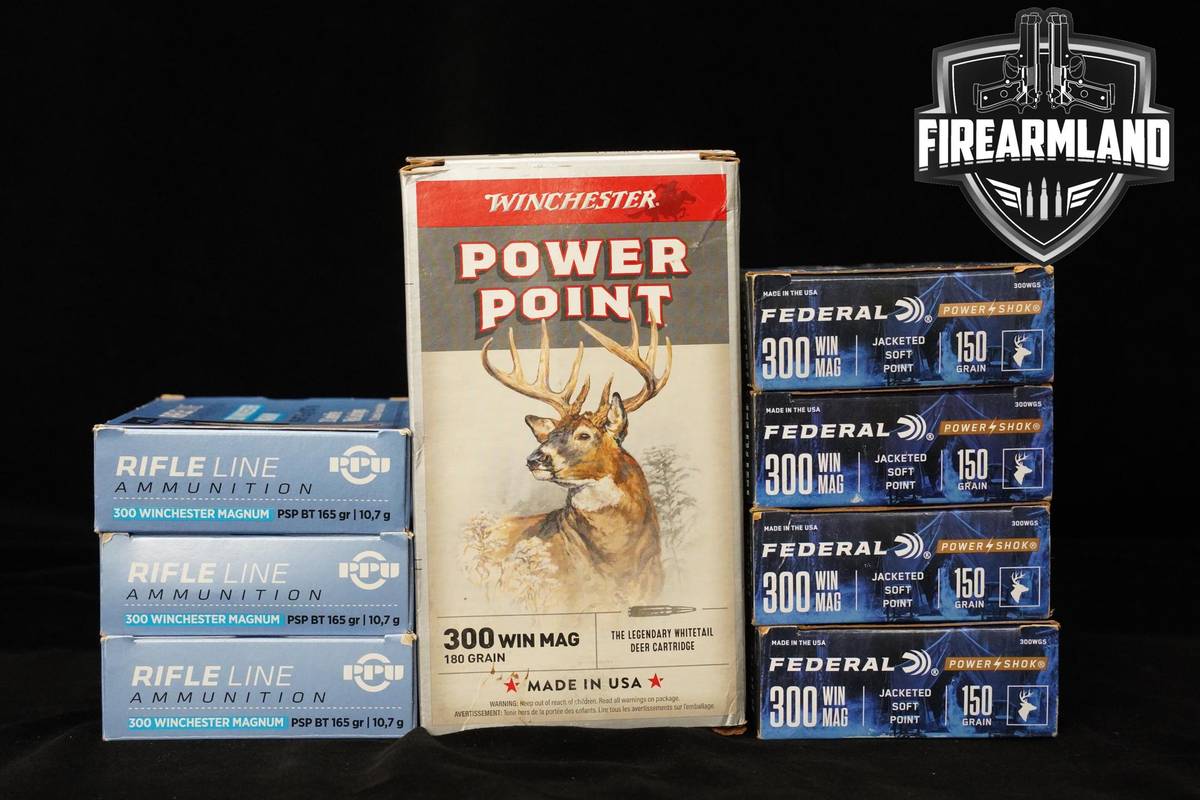 300 Winchester Magnum Ammo 300-Win-Mag 160 ROUNDS