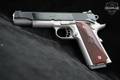 Springfield Armory 1911 Ronin 10mm Two-Tone Blued & Satin Stainless in Excellent Condition Image 5