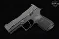 Sig Sauer P320 Nitron Compact .45 ACP Nitron in Very Good Condition Image 3