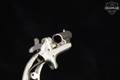 1875-1912 Colt Third Model Derringer .41 Rimfire Nickel in Good Condition Image 4