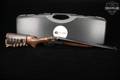 CZ Hammer Coach 12 Gauge Color Case-Hardened in Excellent Condition Image 2