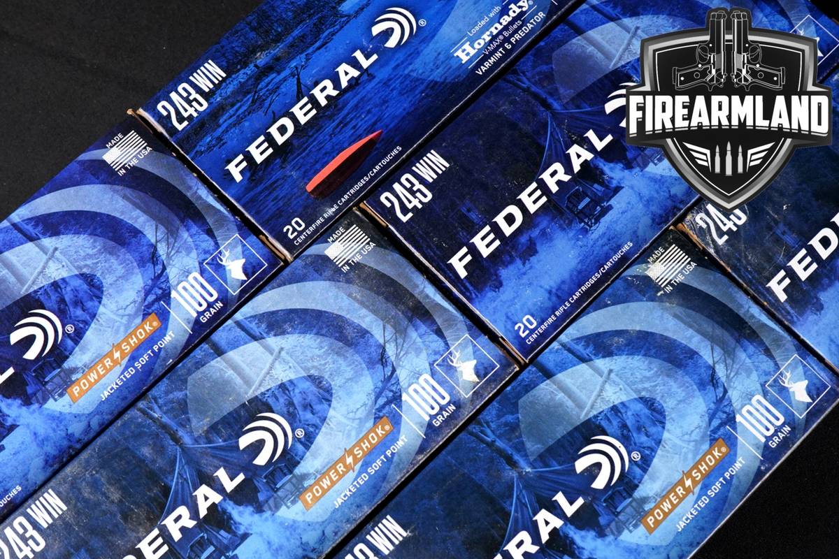 140 RDS! 243 Win Ammo Ammunition