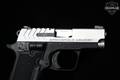 Springfield Armory 911 Stainless w/ Viridian Grip Laser .380 ACP Two-Tone in Excellent Condition Image 3