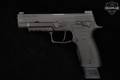 2020-2021 Sig Sauer P320 OR 9mm Luger (9x19 Para) Legion Gray in Very Good Condition Image 5