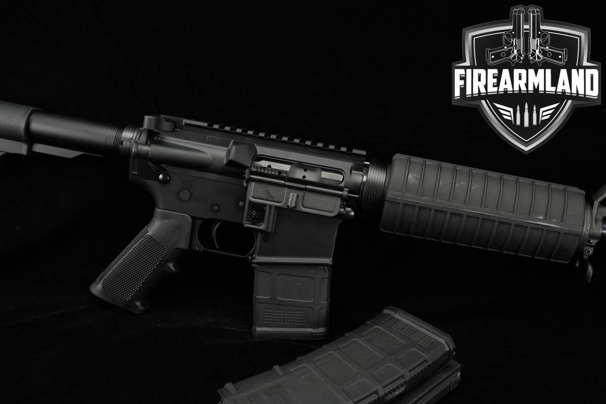 Palmetto State Armory PSA PA-15 5.56 NATO AR15 AR PA15 11.5" +3 MAGS