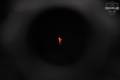 Trijicon ACOG 4X32 in Excellent Condition Image 5