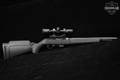 2016 Sturm Ruger 10/22 Takedown Target .22 LR Stainless & Synthetic in Excellent Condition Image 3