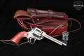 1993 Sturm Ruger New Model Single-Six Convertible .22 LR / .22 WMR Satin Stainless in Excellent Condition Image 2