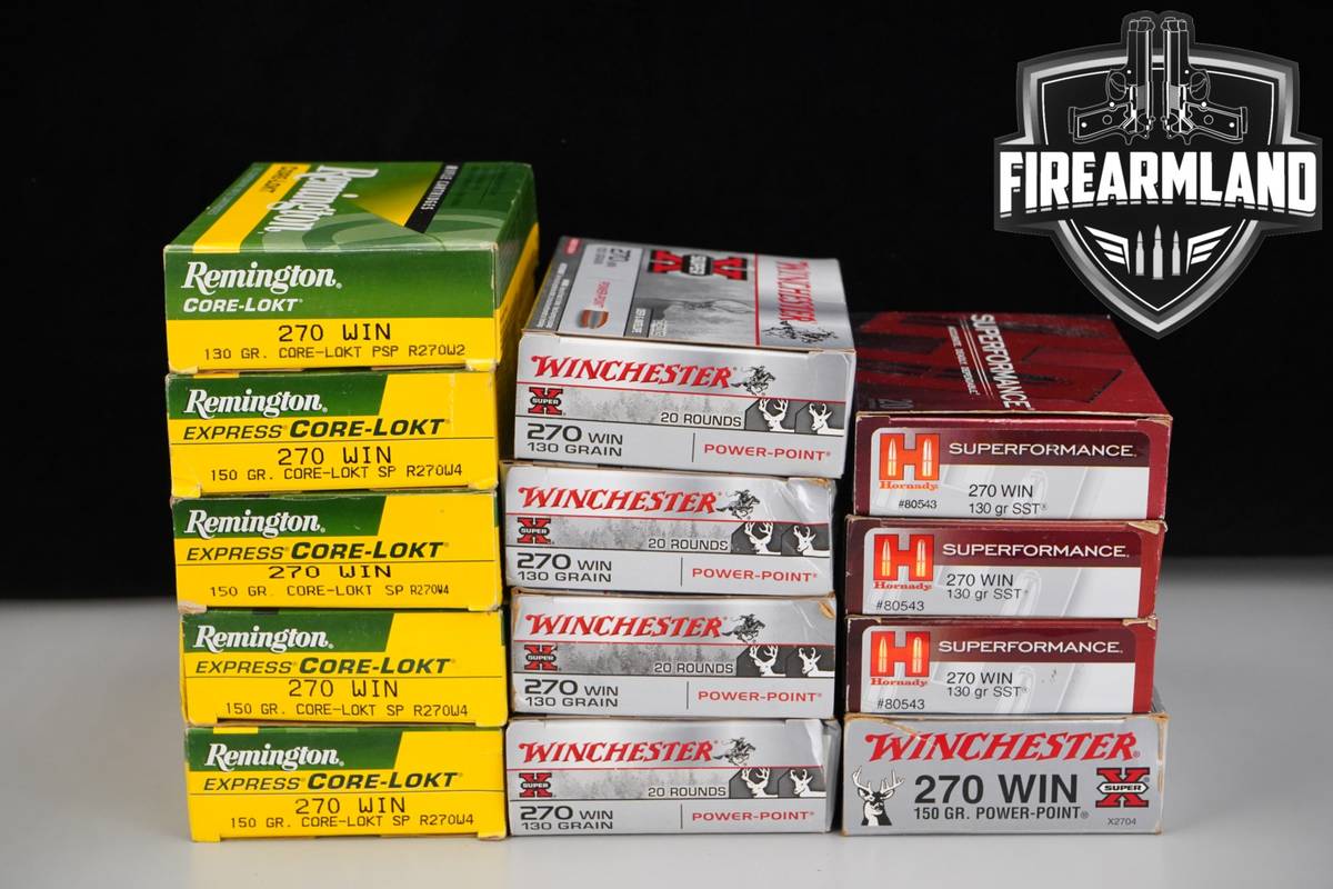 260 RDS! 270 Winchester Ammo270 Win
