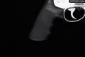 2014 Smith & Wesson (S&W) Model 500 500 S&W Magnum Stainless Steel in Excellent Condition Image 3