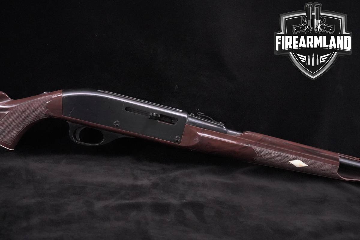 PLINKER! Remington Nylon 66 22LR 19" Blued Remington-Nylon 66