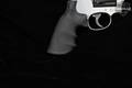 Smith & Wesson (S&W) Model 686-6 Plus .357 Mag. Stainless Steel in Good Condition Image 3