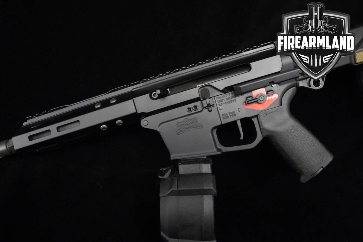 Palmetto State Armory PSA PX9 BINARY TRIGGER 9mm AR-9 PSA-PX9 AR9 AR-Pistol