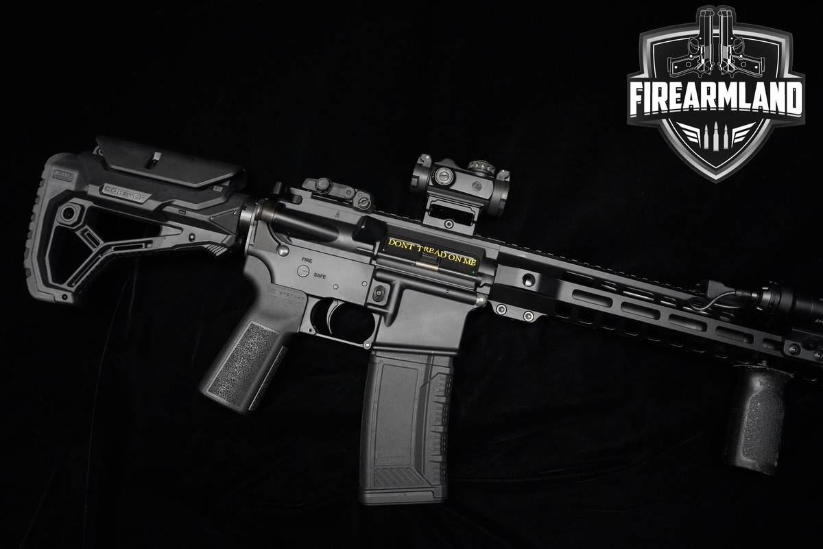 Palmetto State Armory (PSA) PA-15 5.56 NATO PSA-PA-15 PA15 +2 MAGS & OPTIC