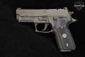 Sig Sauer P229 Legion 9mm Luger Legion Gray in Good Condition Image 4