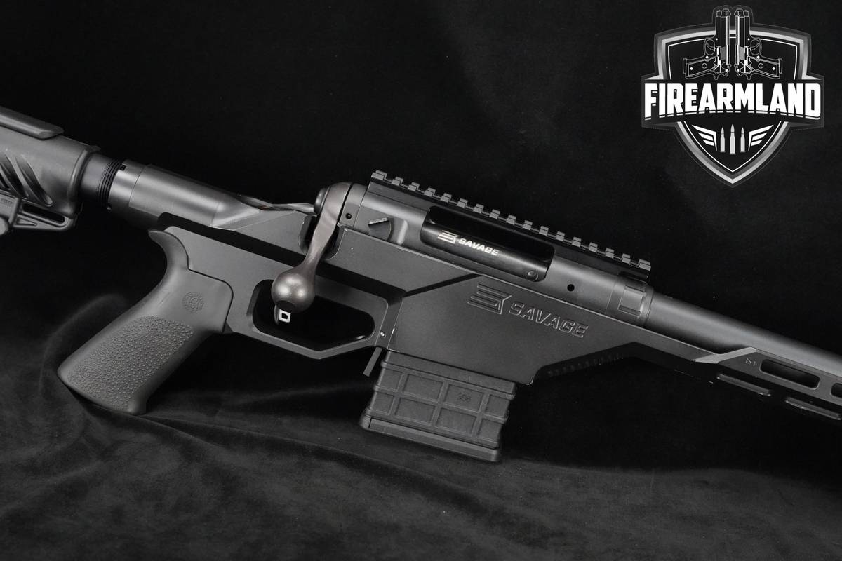 Savage Arms Model 10 Stealth 308 Win 20" Savage Model-10-Stealth +2 MAGS