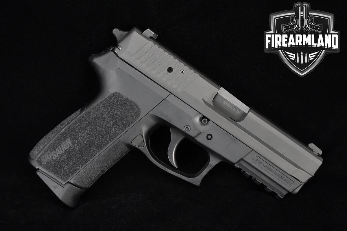 Sig Sauer SP2022 9mm 3.8" SP2022 Sig-Sauer-SP-2022 DUTY CCW +3 MAGS