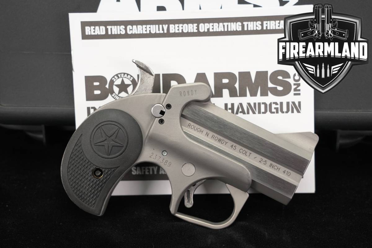 Bond Arms Rowdy Rough Series 45 LC/410 3" Matte Stainless 2.5" Derringer