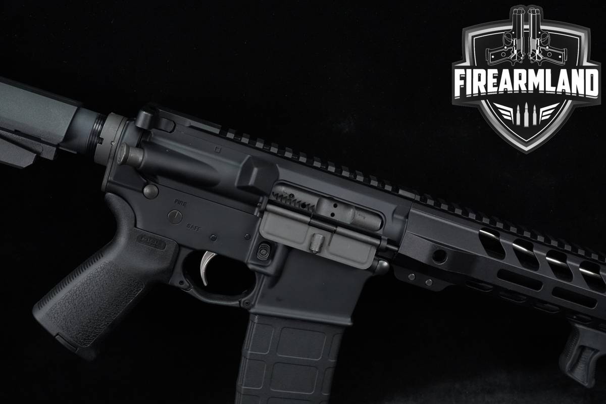 Palmetto State Armory PA-15 5.56 NATO 10.5" PA15 AR15 +4 MAGS & ORIG BOX