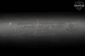 AAC Ti-Rant 45 .45 ACP in Very Good Condition Image 3