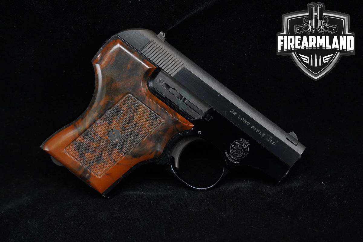 Smith & Wesson Model 61-3 Escort 22LR 2.2" Blued & Grey Micro-Carry