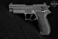 Sig Sauer Mosquito .22 LR Reverse Two-Tone in Very Good Condition Image 5
