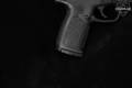 Smith & Wesson (S&W) SD9 VE 9mm Luger (9x19 Para) Two-Tone in Very Good Condition Image 4