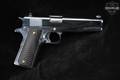Trabzon Silah Sanayi A.Ş. (TİSAŞ) ZIG M1 Regulator 9mm Luger Polished Nickel in Very Good Condition Image 3