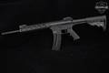 Smith & Wesson (S&W) M&P15-22 Sport .22 LR Black in Very Good Condition Image 2
