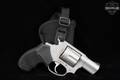 Taurus 856 .38 Spl. Stainless in Excellent Condition Image 2