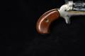 Butler Swing-Out Derringer .22 Short Two-Tone in Fair Condition Image 4