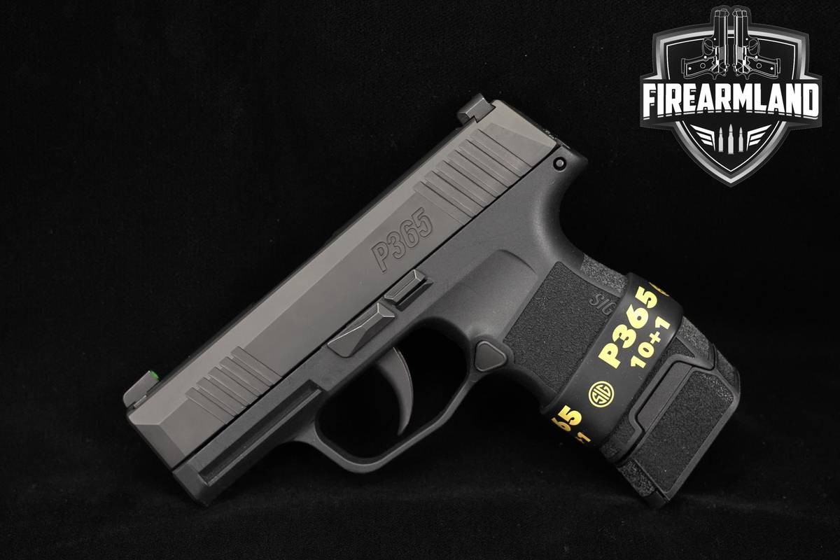 CONCEAL-CARRY Sig Sauer P365 P-365 9mm 3.1" +2 MAGS & OG CASE