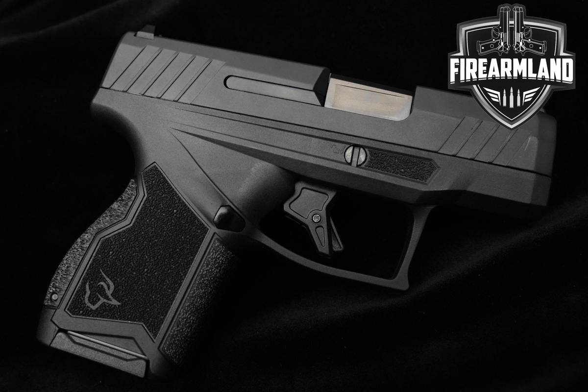 LIKE-NEW Taurus GX4 9mm 3.06" Pistol Stainless +2 MAGS