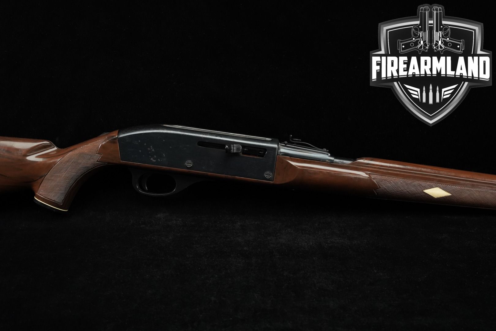 Remington Nylon 66 .22 LR 19.5