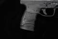 Walther PPS M2 LE Edition 9mm Luger Tenifer in Excellent Condition Image 3
