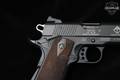 German Sport Guns (GSG) 1911 .22 LR Black Anodized in Excellent Condition Image 5
