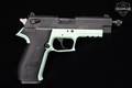 German Sport Guns (GSG) Firefly .22 LR Two-Tone in Excellent Condition Image 3