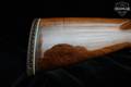 Winchester Repeating Arms 1300 XTR 12 Gauge Blued in Excellent Condition Image 3