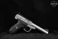 Smith & Wesson (S&W) SW22 Victory .22 LR Stainless Steel in Excellent Condition Image 3