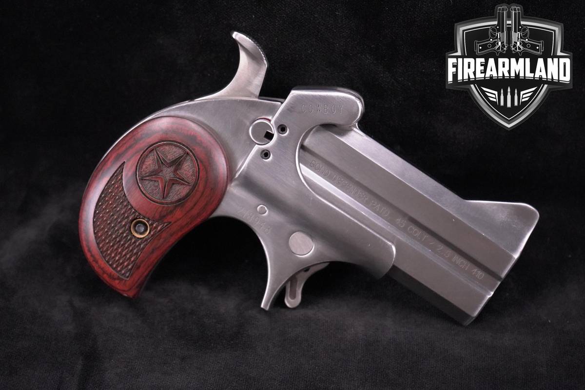 Bond Arms Cowboy 45 LC/410 3.0" Stainless Steel