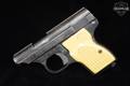 Sterling Arms International Model 302 Pocket Pistol .22 LR Stainless Steel in Fair Condition Image 2