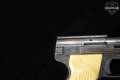 Sterling Arms International Model 302 Pocket Pistol .22 LR Stainless Steel in Fair Condition Image 5
