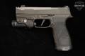 Sig Sauer P365-AXG Legion 9mm Luger Legion Gray in Good Condition Image 3