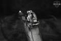 Beretta Model 84F .380 ACP Black in Very Good Condition Image 5