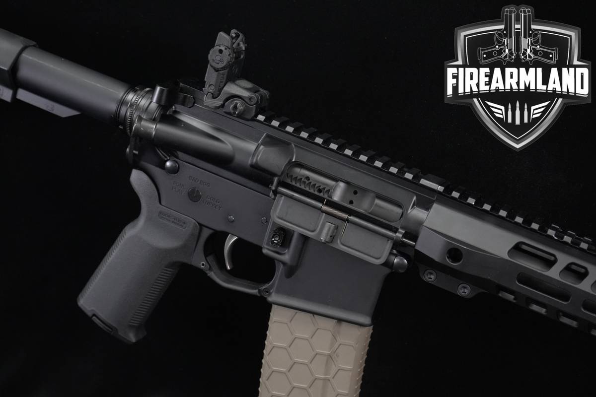 Palmetto State Armory PSA MUGSHOT-15 Limited Edition; 11.24.22 5.56mm NATO