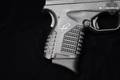 2013 Springfield Armory XDS-45 3.3 .45 ACP Melonite in Excellent Condition Image 3