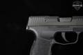 Sig Sauer P365 SAS 9mm Luger Nitron in Very Good Condition Image 4