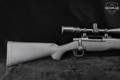 Mossberg Patriot Night Train .308 Win. Black in Very Good Condition Image 4