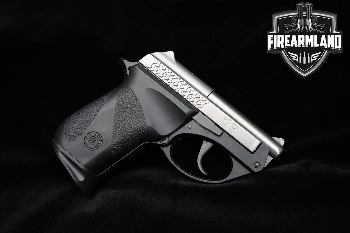 Taurus PT22 Poly Stainless Steel 22LR 2.25" PT22 Taurus PT-22 +2 MAGS