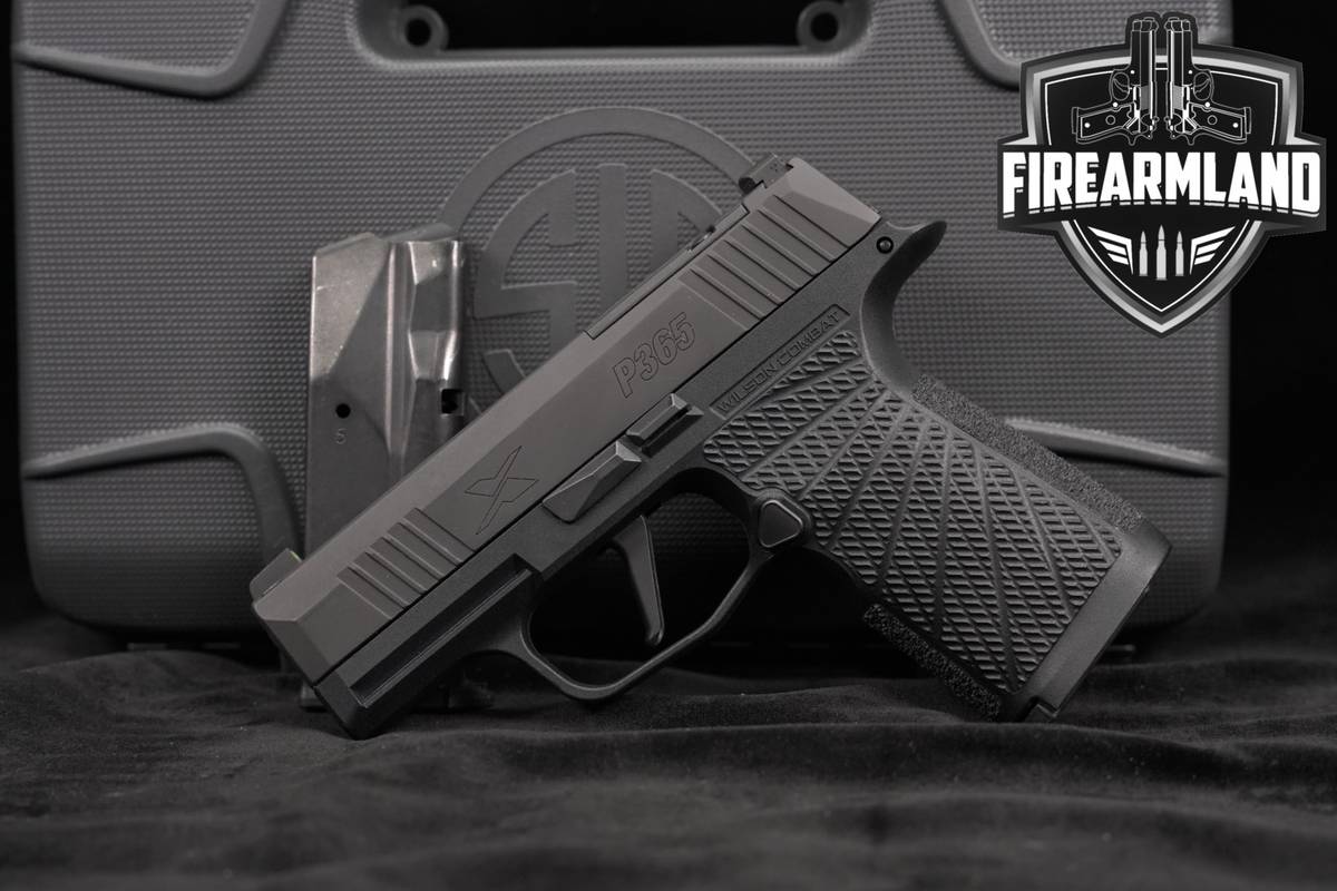 Sig Sauer P365X 9mm 3.1" P 365 X +2 MAGS & ORIG CASE